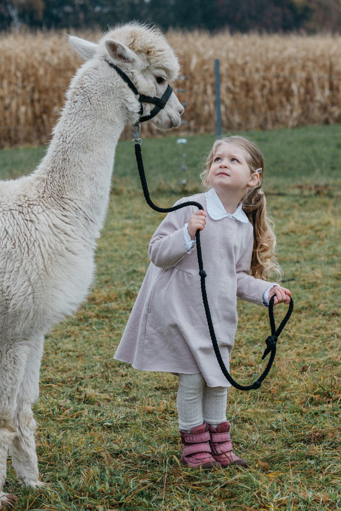 familien-und-babyfotografin-in-muenchen